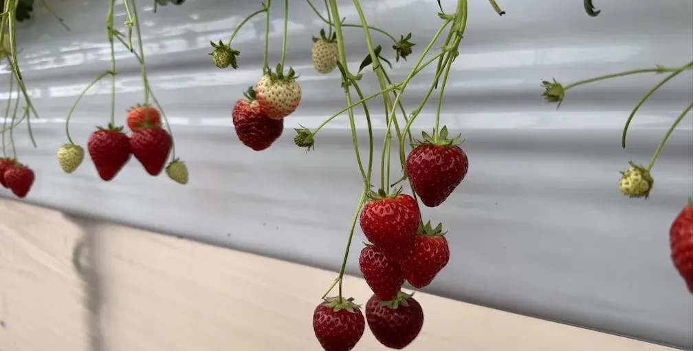 [週報] 2026/03/09週のアイキャッチ画像