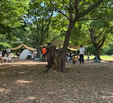 [週報] 2026/05/11週のヒーロー画像